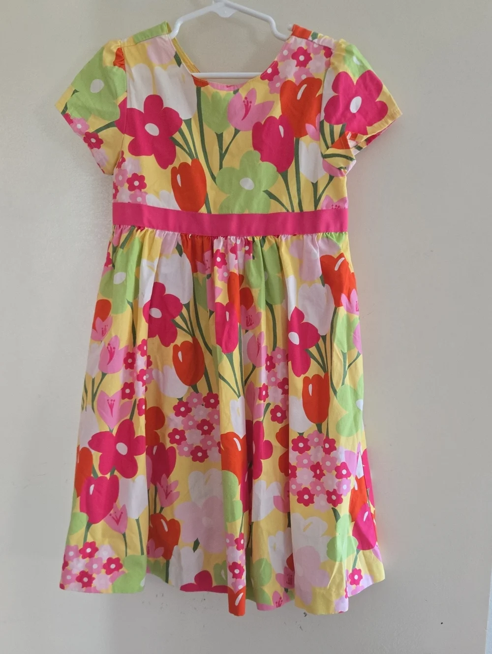 Girls GYMBOREE Floral Party Dress with Pink Waistband